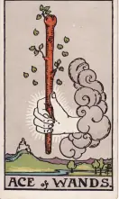 Ás de Paus