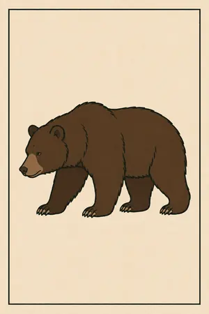 15 Urso