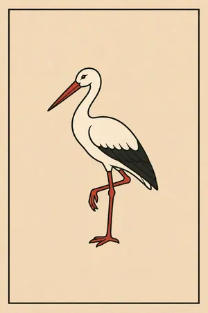 17 Cegonha