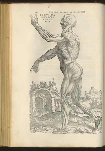 O corpo